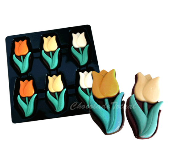 tulpen-van-chocolade